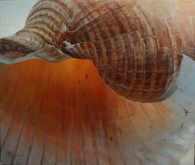 Inside a seashell
